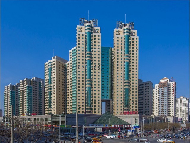 江苏香樟苗木销售服务商